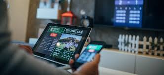 Nigus Bet Explore the World of Betting and Gaming