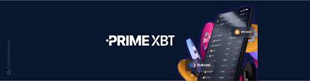 The Power Behind Success An Insight into the PrimeXBT Team The Power Behind Success An Insight into the PrimeXBT Team